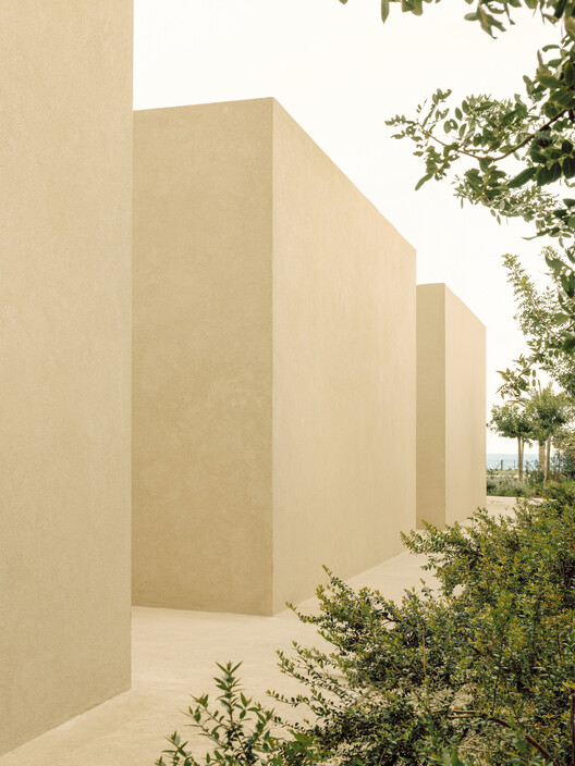Patio House / Only Studio
