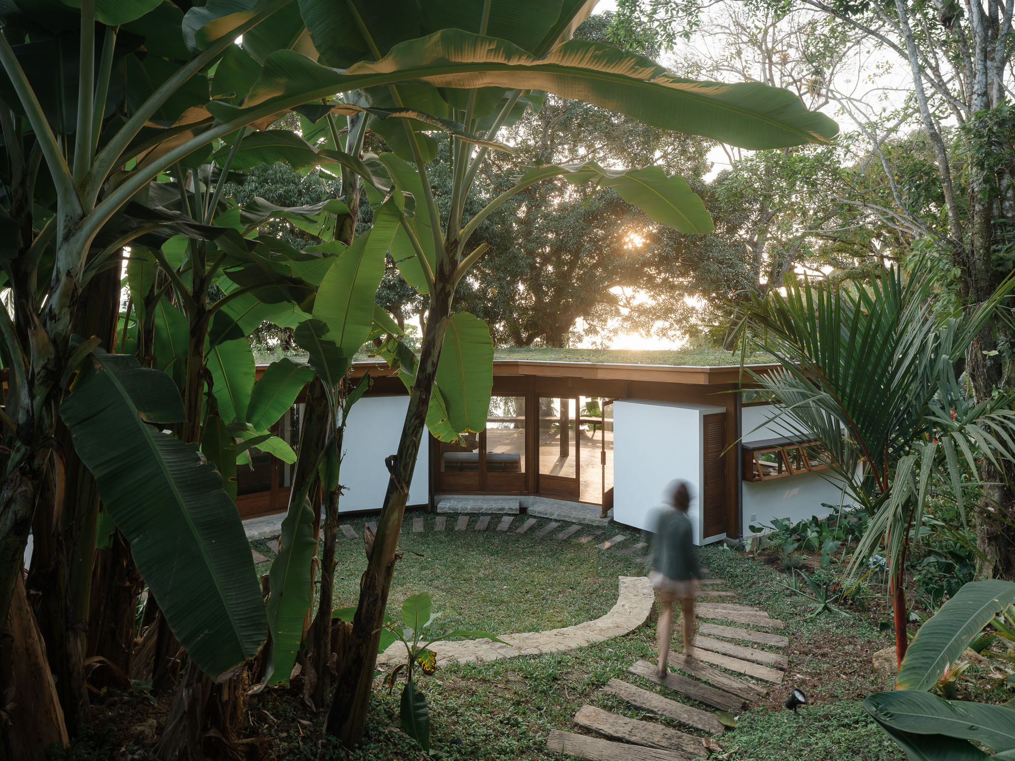 Fig Tree House / Estúdio Lava