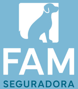 FAM Seguradora: Redefine o mercado de Seguro de Garantias no Brasil